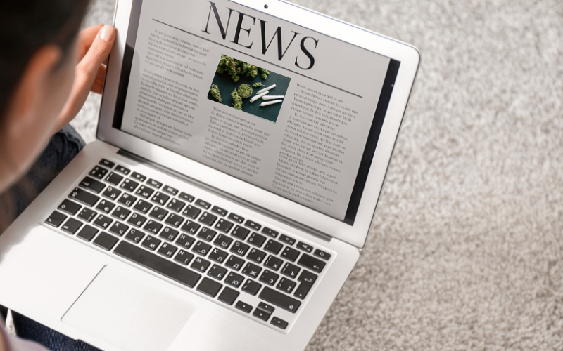 Person reading cannabis news on a laptop screen, featuring an article about cannabis with the word 'NEWS' and showcasing content from the best cannabis websites.