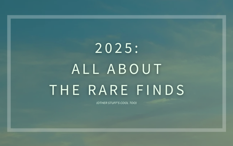 Minimalist sky banner referencing 2025’s rare new music finds and ai music trends.