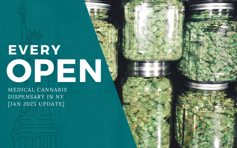 Glass jars filled with cannabis buds beside a teal background featuring the Statue of Liberty outline, referencing updated medical marijuana dispensaries in New York and the latest information on medical cannabis in New York.