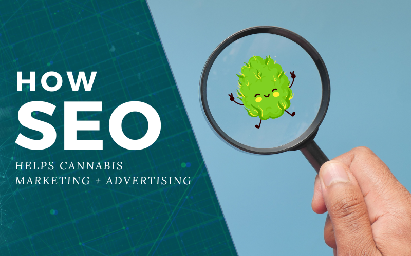 A hand holding a magnifying glass over a cute cartoon cannabis bud, with text that reads “How SEO Helps Cannabis Marketing + Advertising."