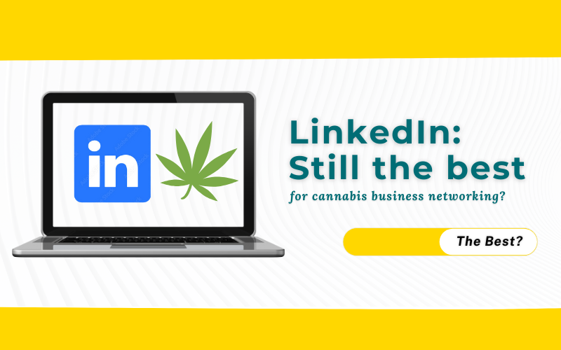 A laptop displaying the LinkedIn logo beside a cannabis leaf, symbolizing the concept of using LinkedIn as a cannabis business social network.