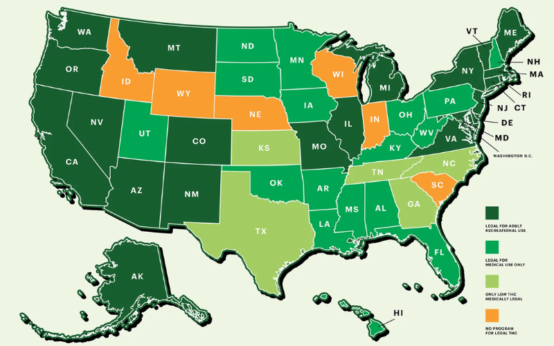 United States of Weed Rolling Stone Andrew Ward